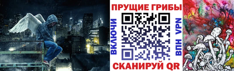 Галлюциногенные грибы мухоморы  Жиздра 