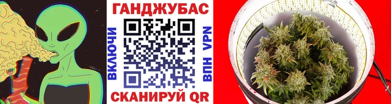 Бошки Шишки планчик  Жиздра 